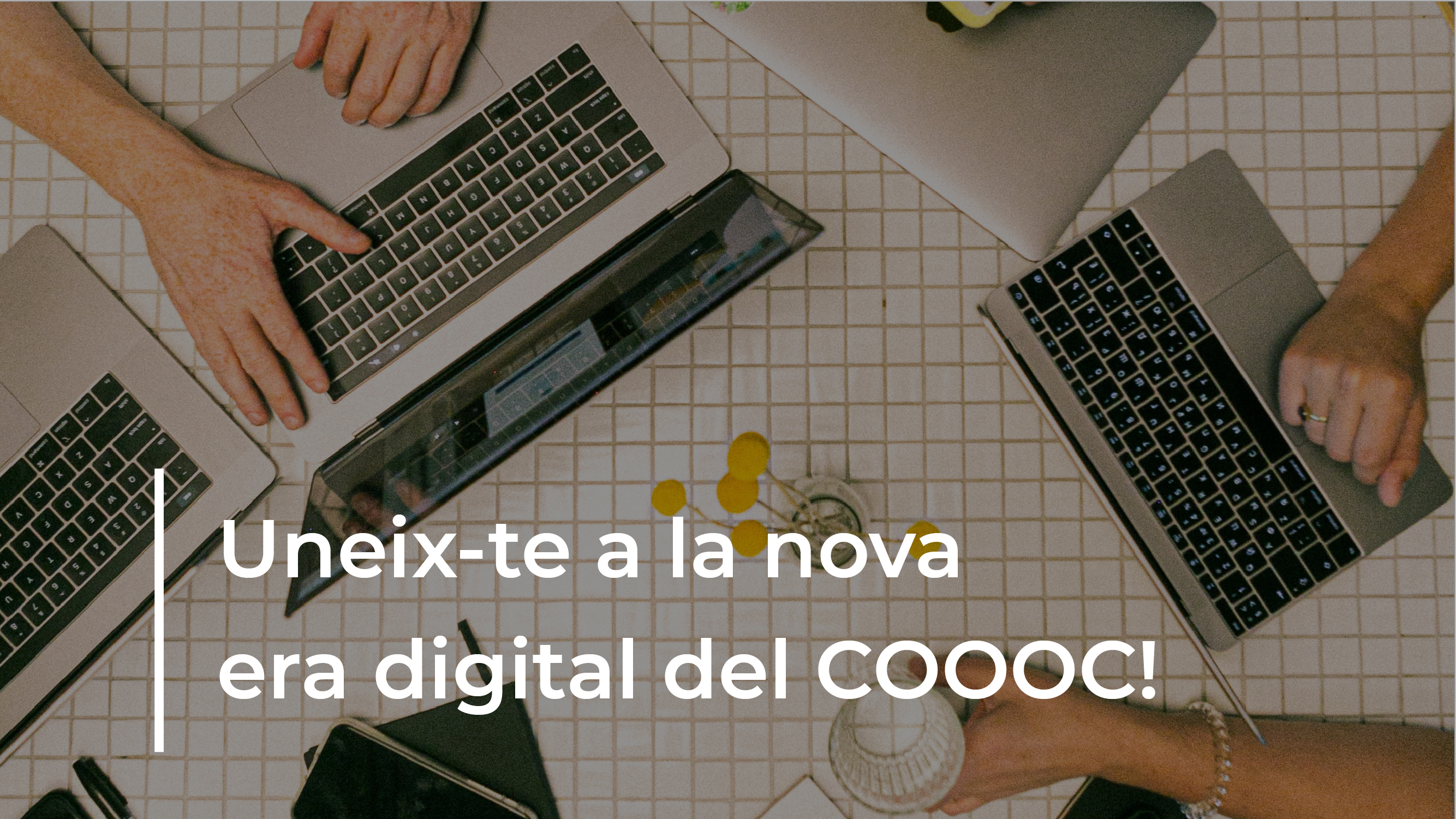 Obrim perfils d'Instagram i Linkedin!